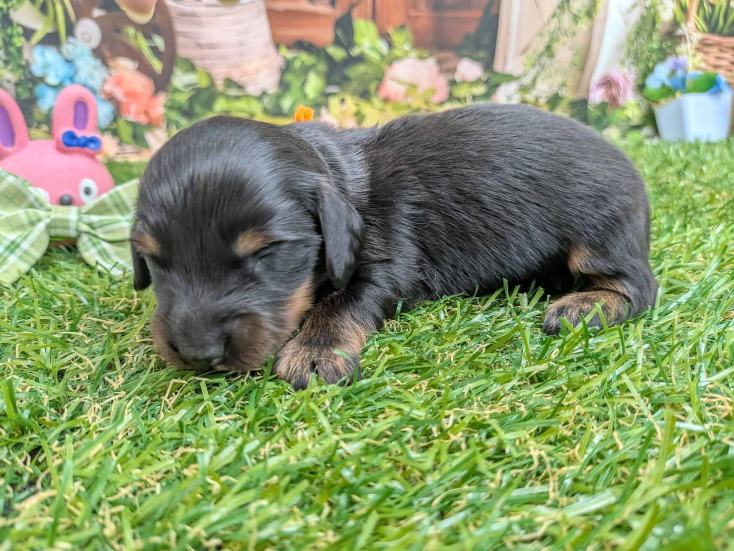 赤ちゃん写真1-2