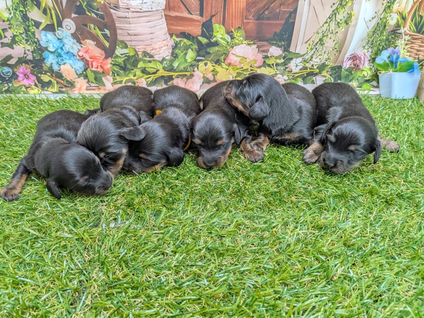 赤ちゃん写真1-3