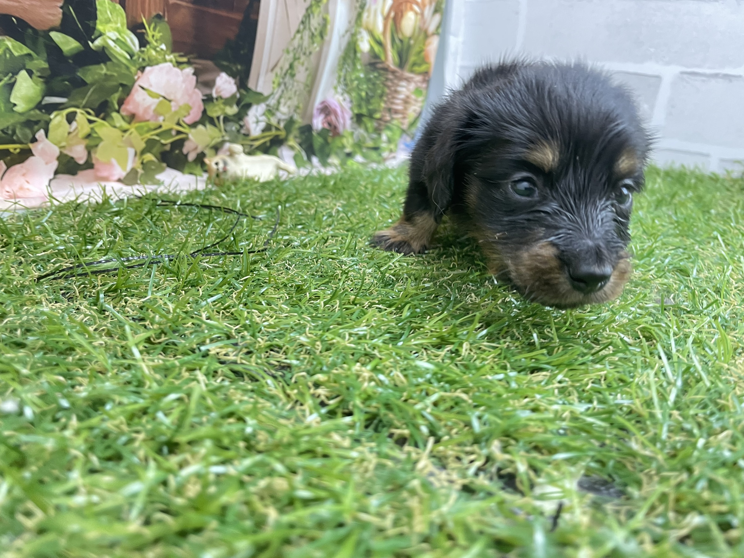 赤ちゃん写真2-1