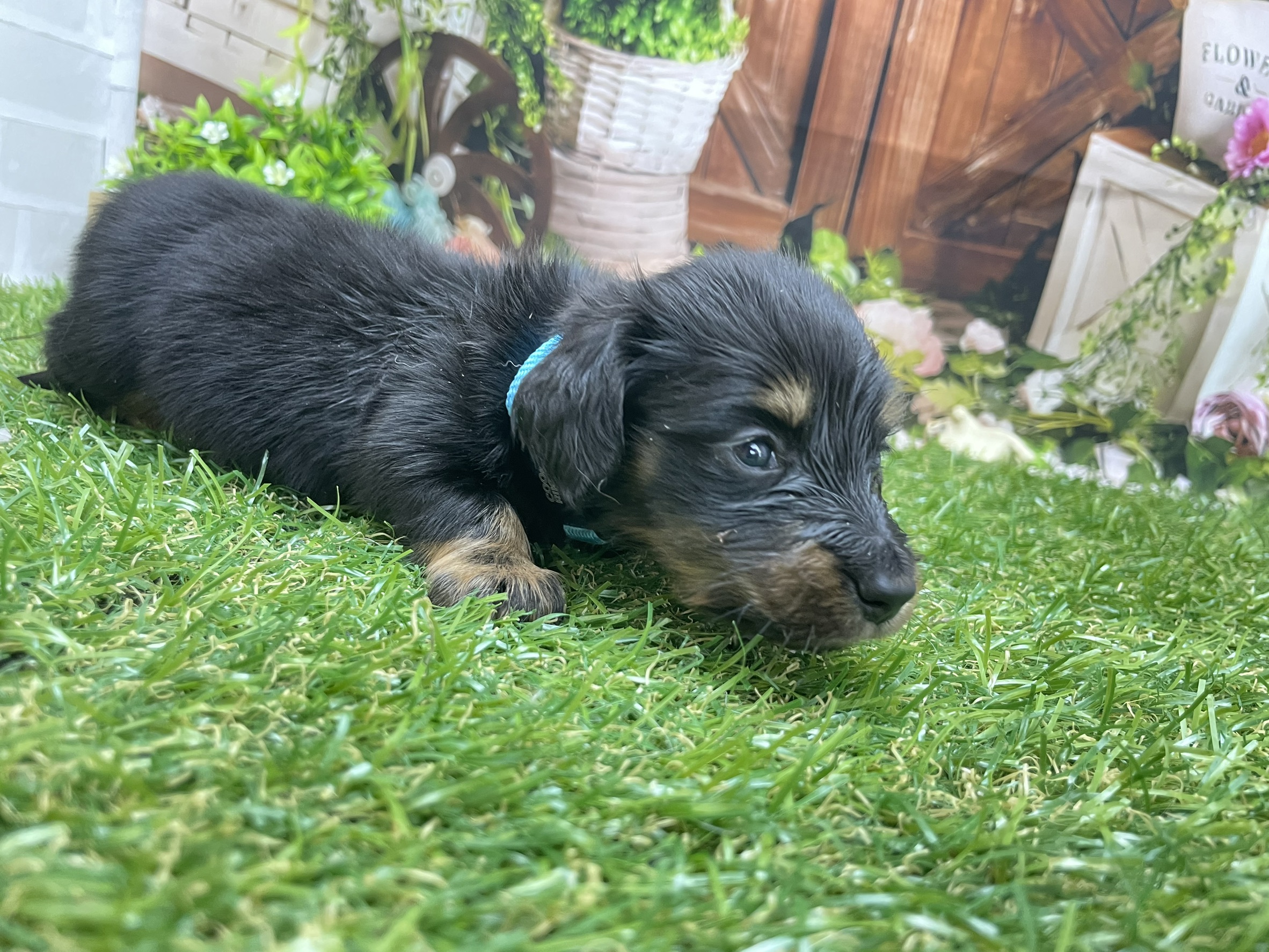 赤ちゃん写真2-2