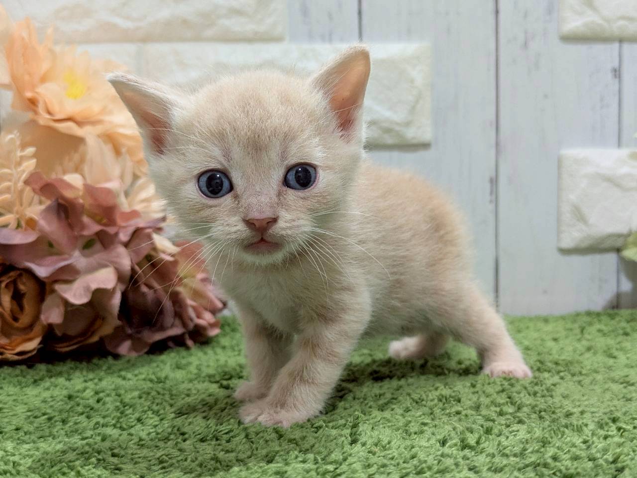 赤ちゃん写真2-1