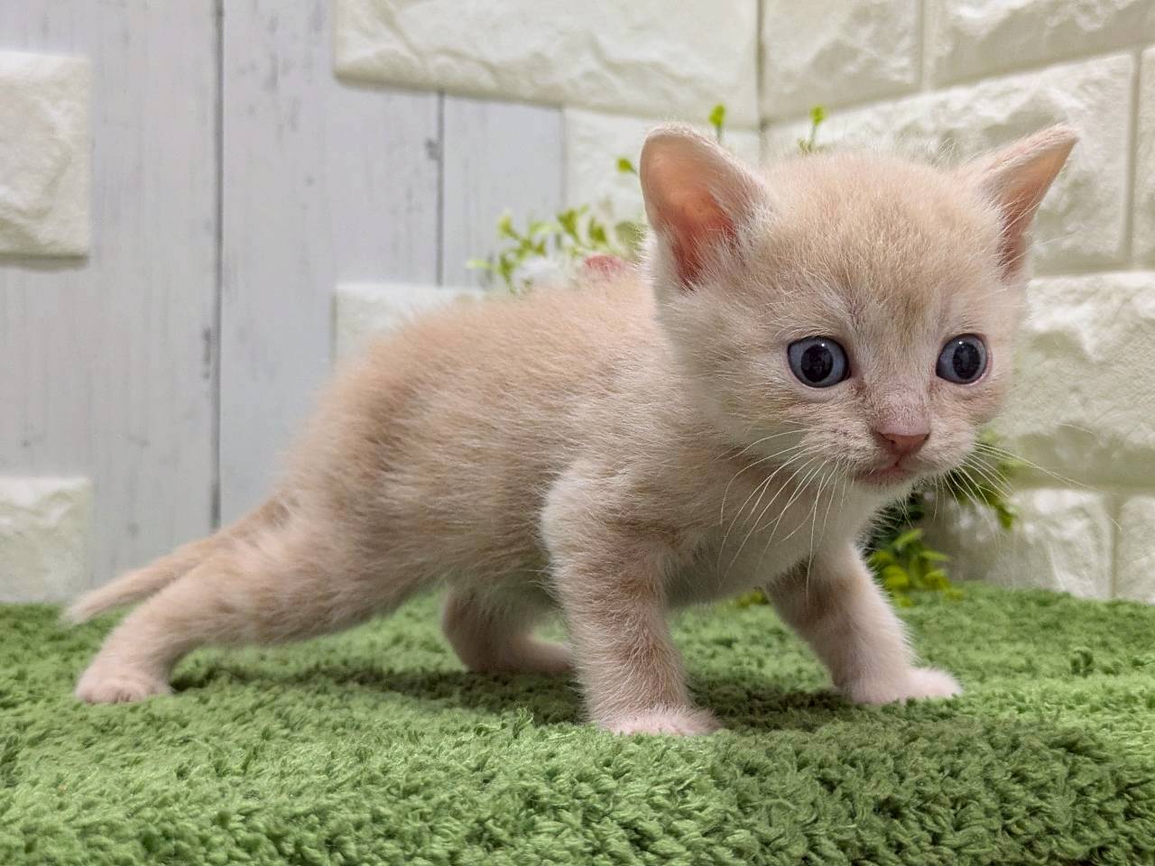 赤ちゃん写真2-2