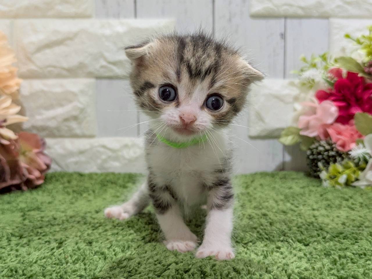 赤ちゃん写真2-1