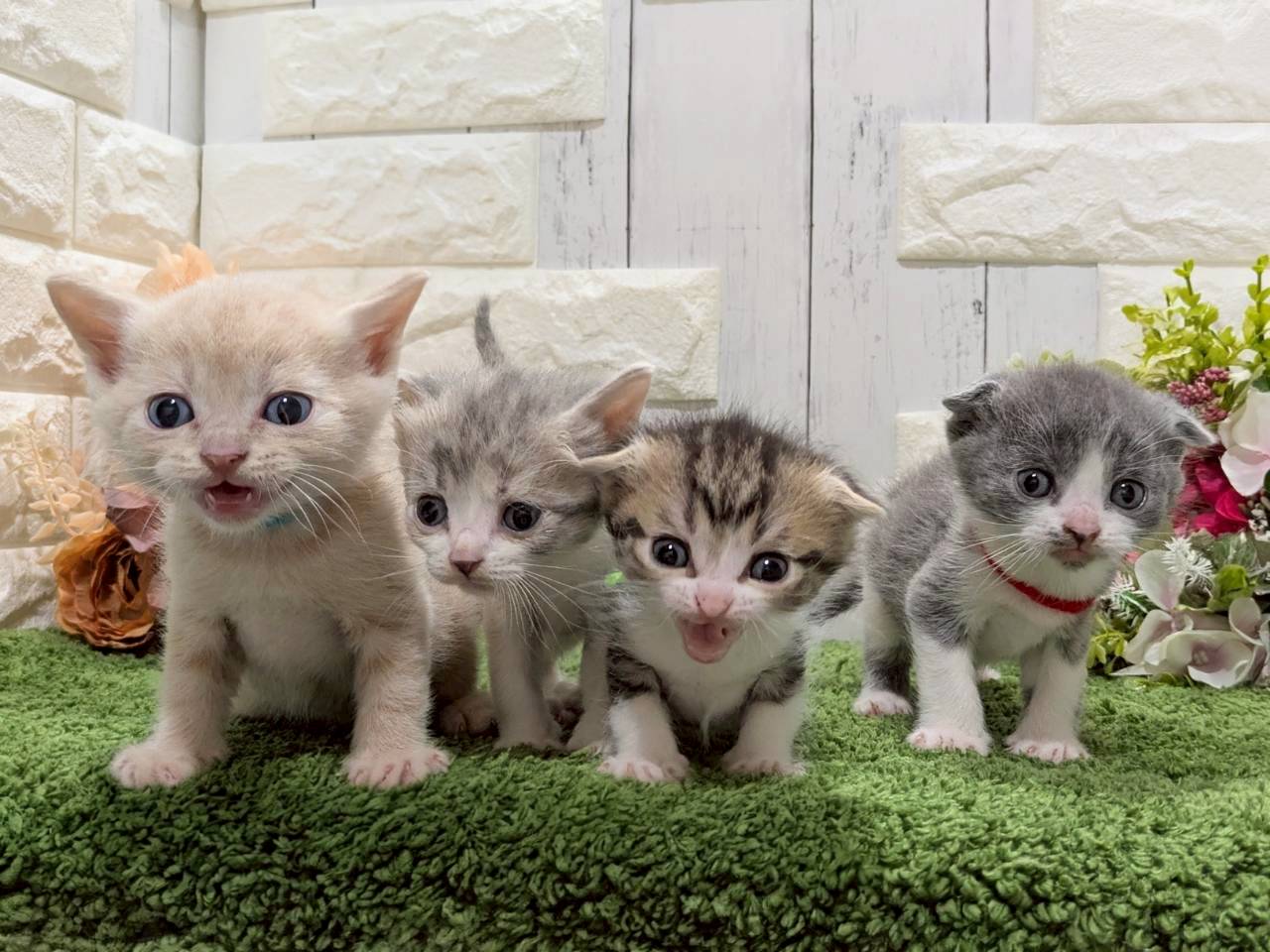 赤ちゃん写真2-3