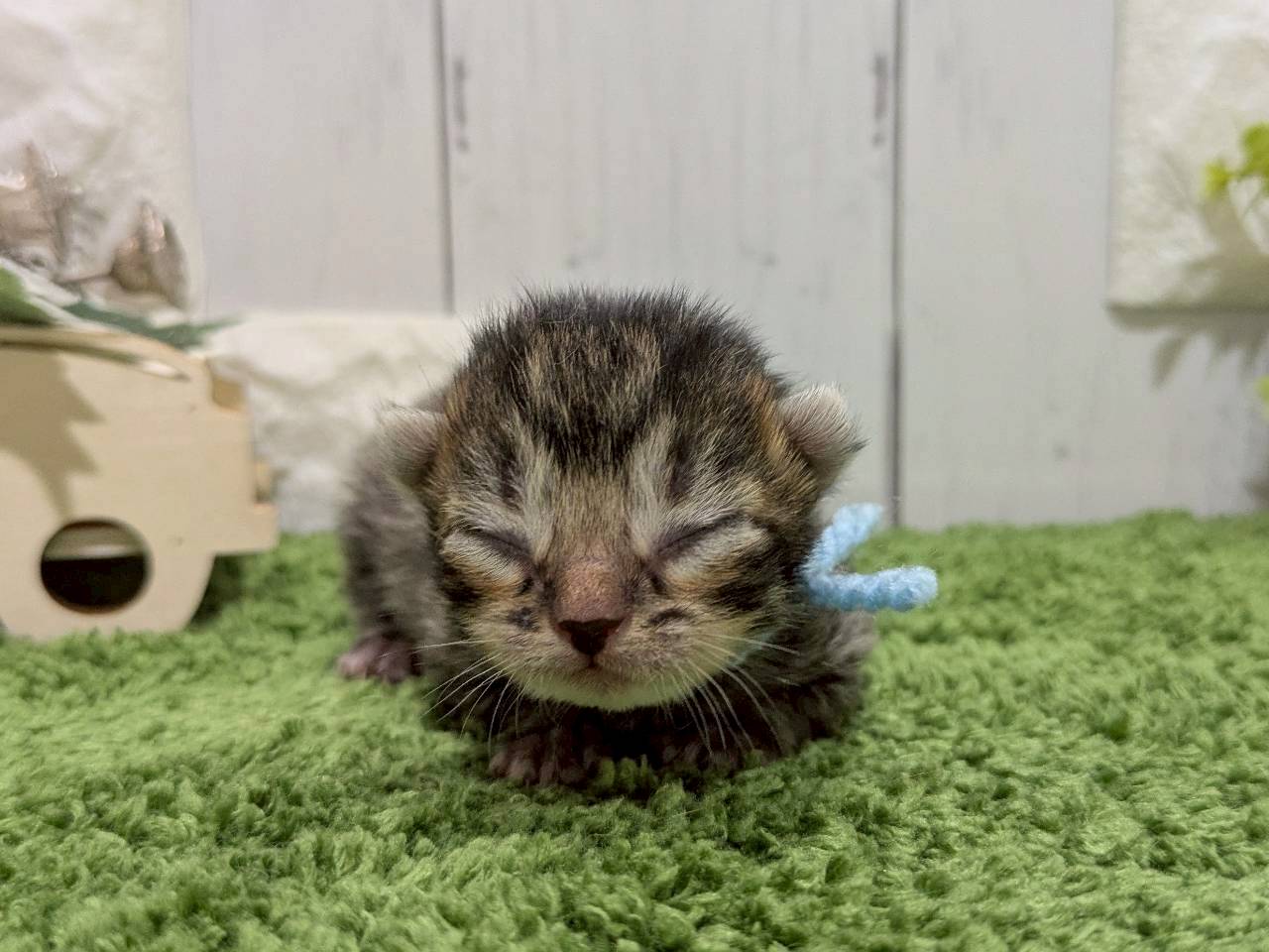 赤ちゃん写真1-1