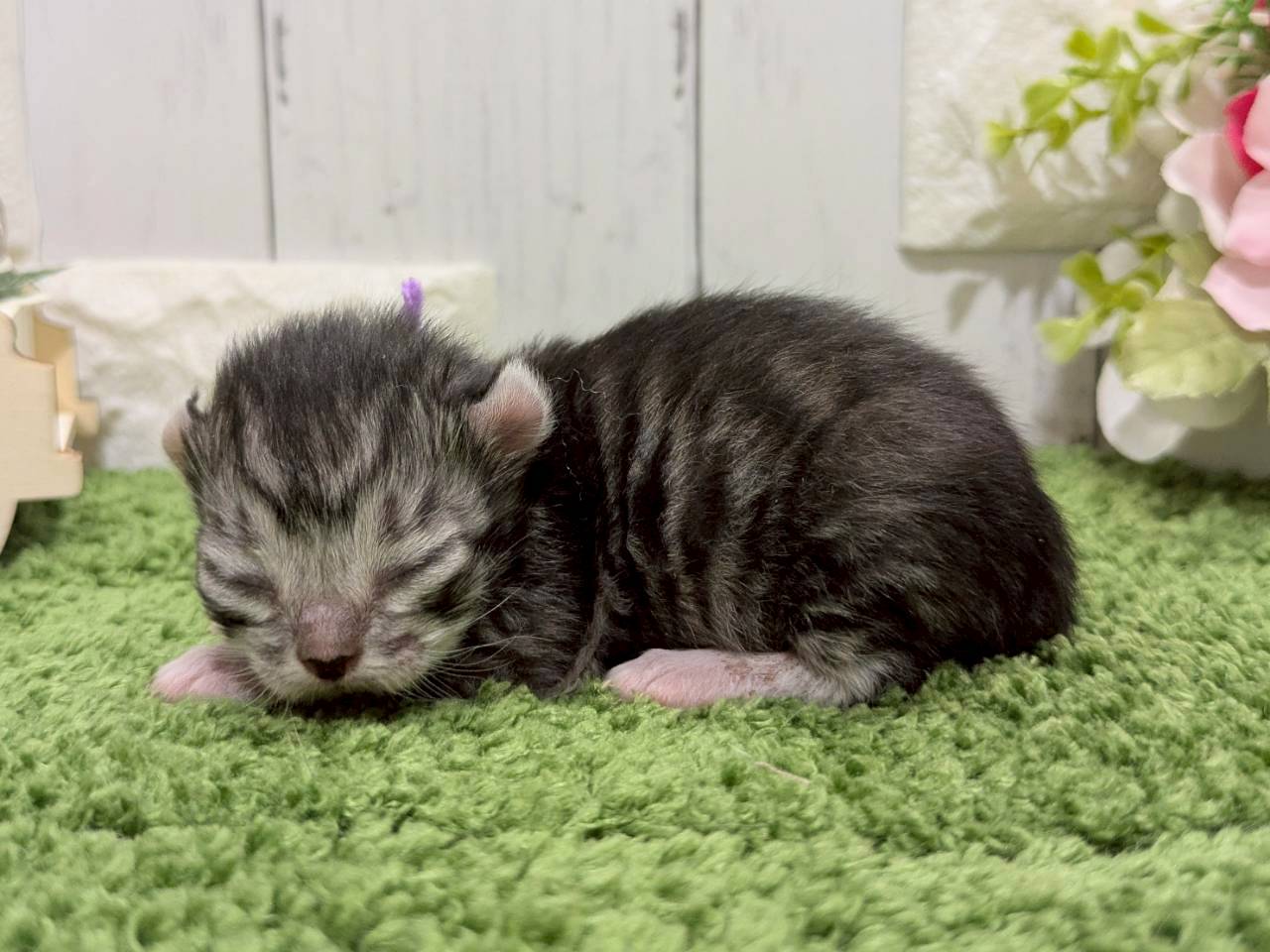 赤ちゃん写真1-2