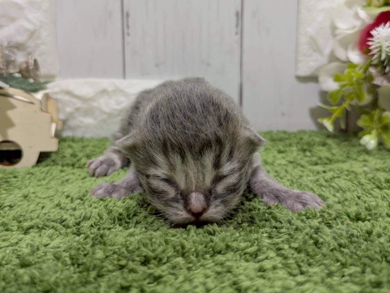 赤ちゃん写真1-1