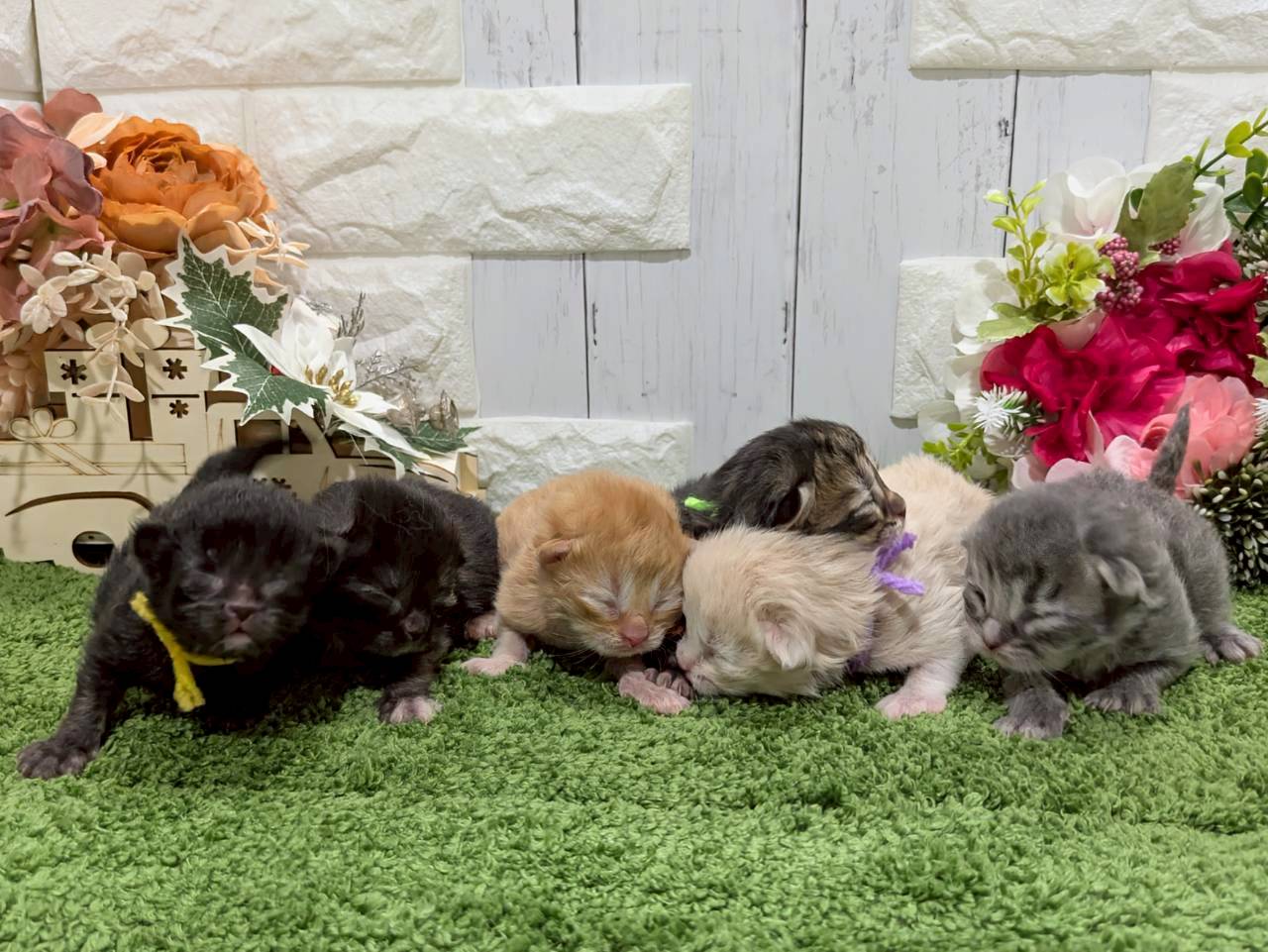 赤ちゃん写真1-3