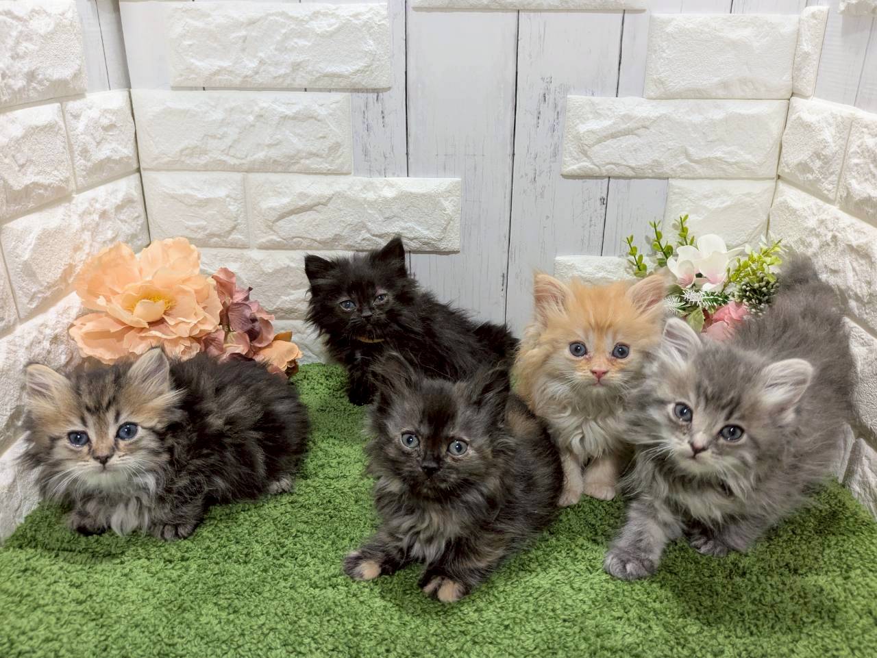 赤ちゃん写真2-3