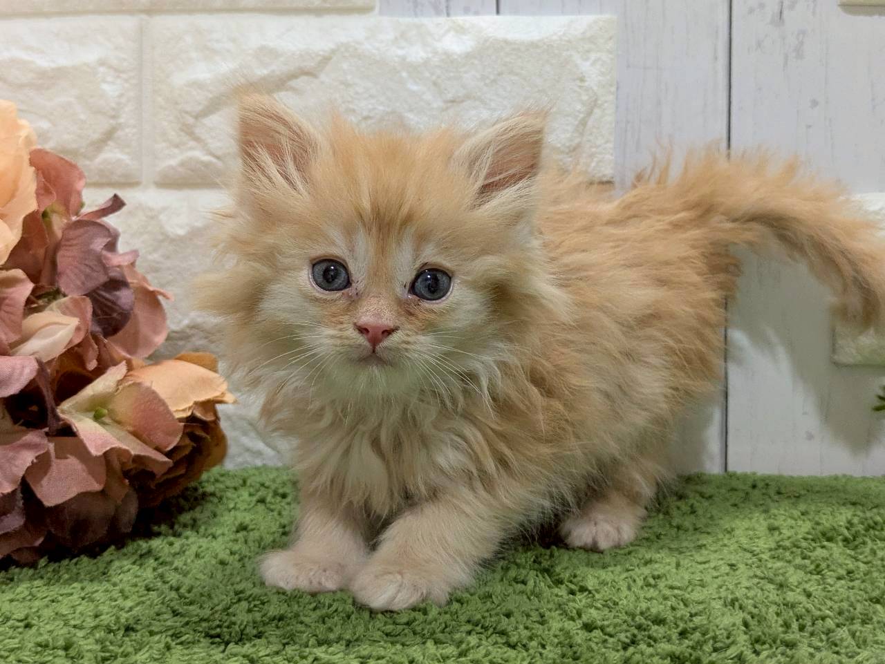 赤ちゃん写真2-1