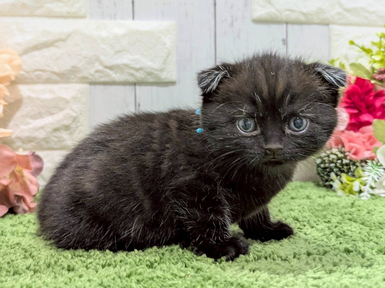 赤ちゃん写真2-2