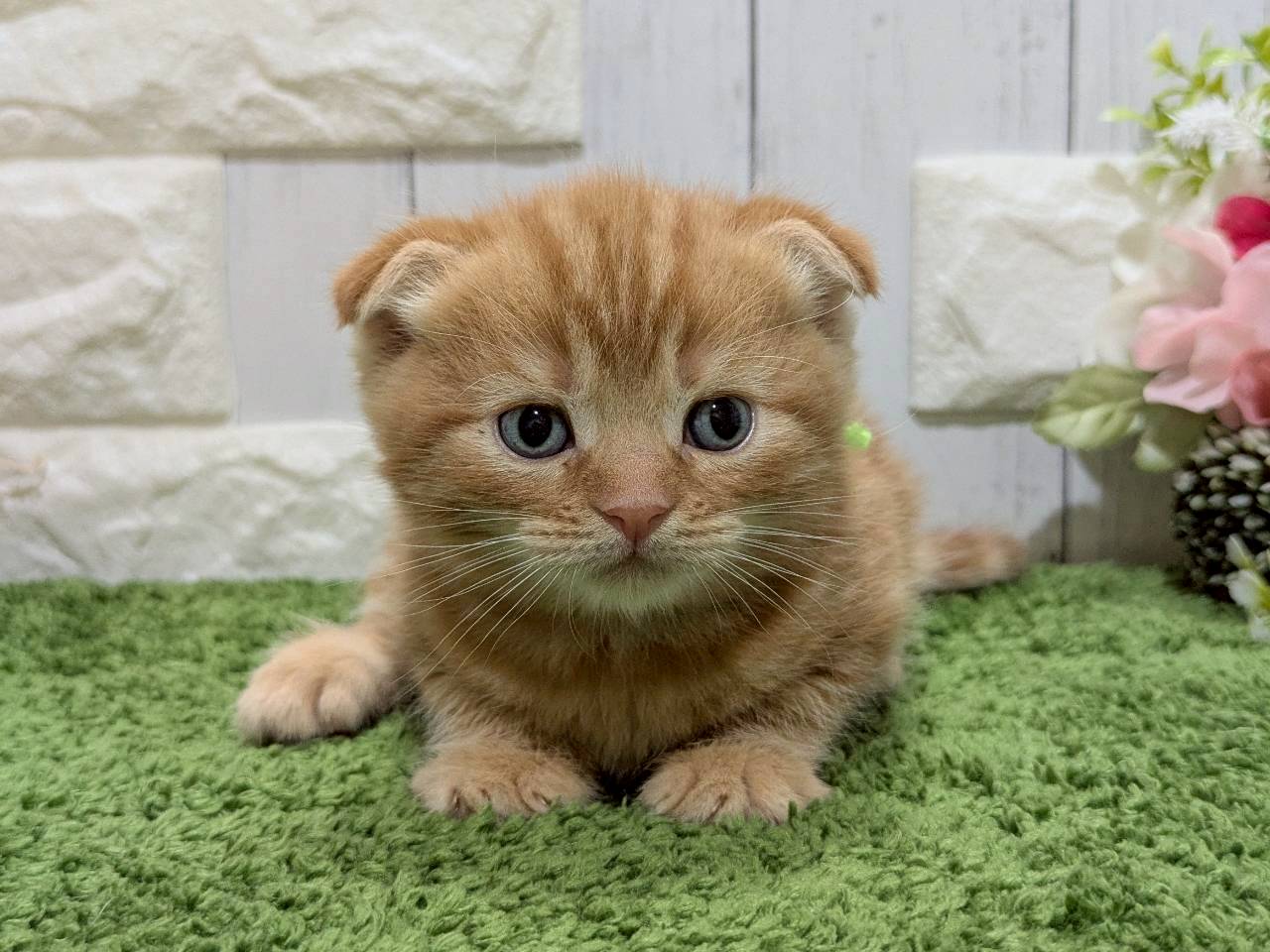 赤ちゃん写真2-1