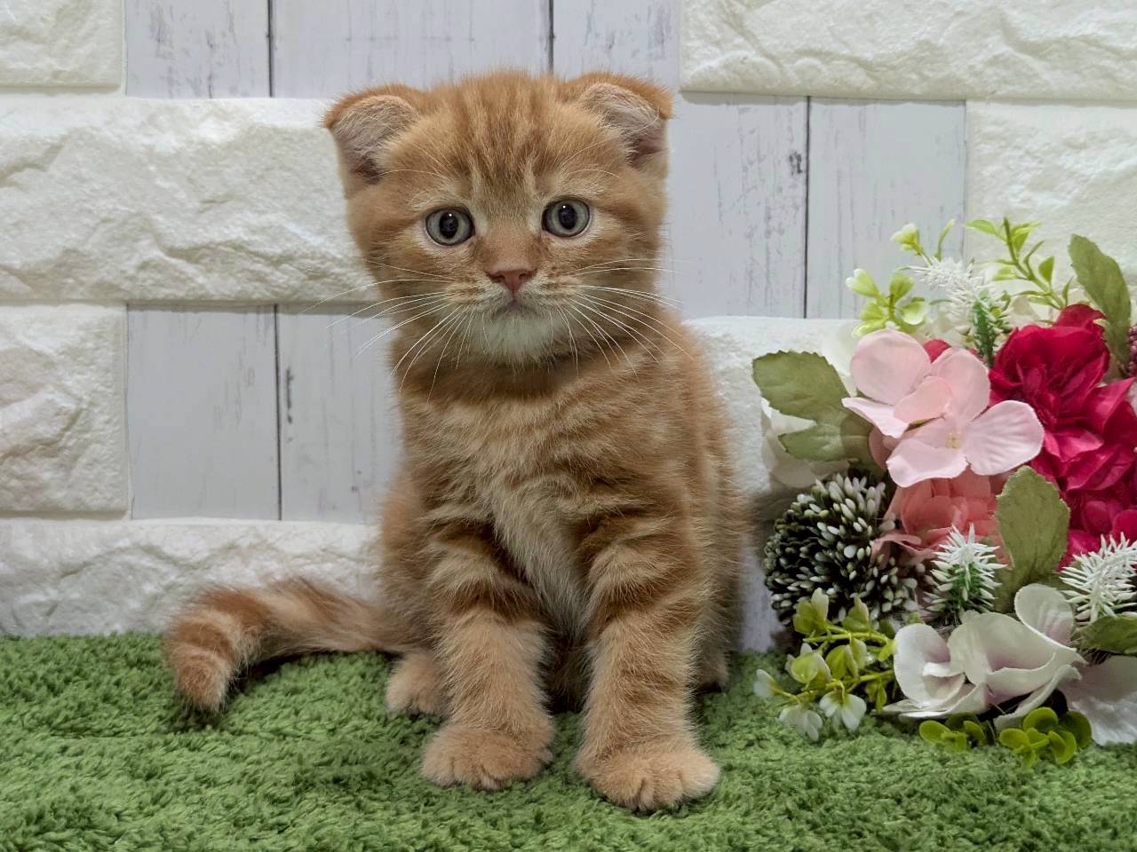 赤ちゃん写真3-1