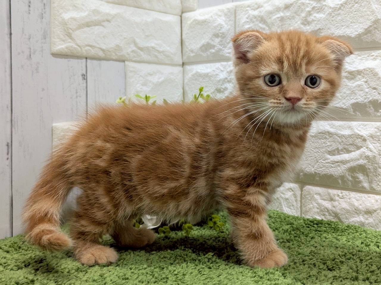 赤ちゃん写真3-2
