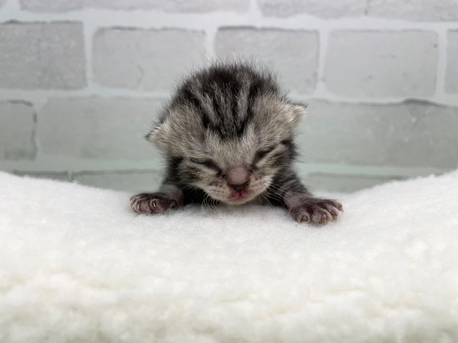 赤ちゃん写真1-1