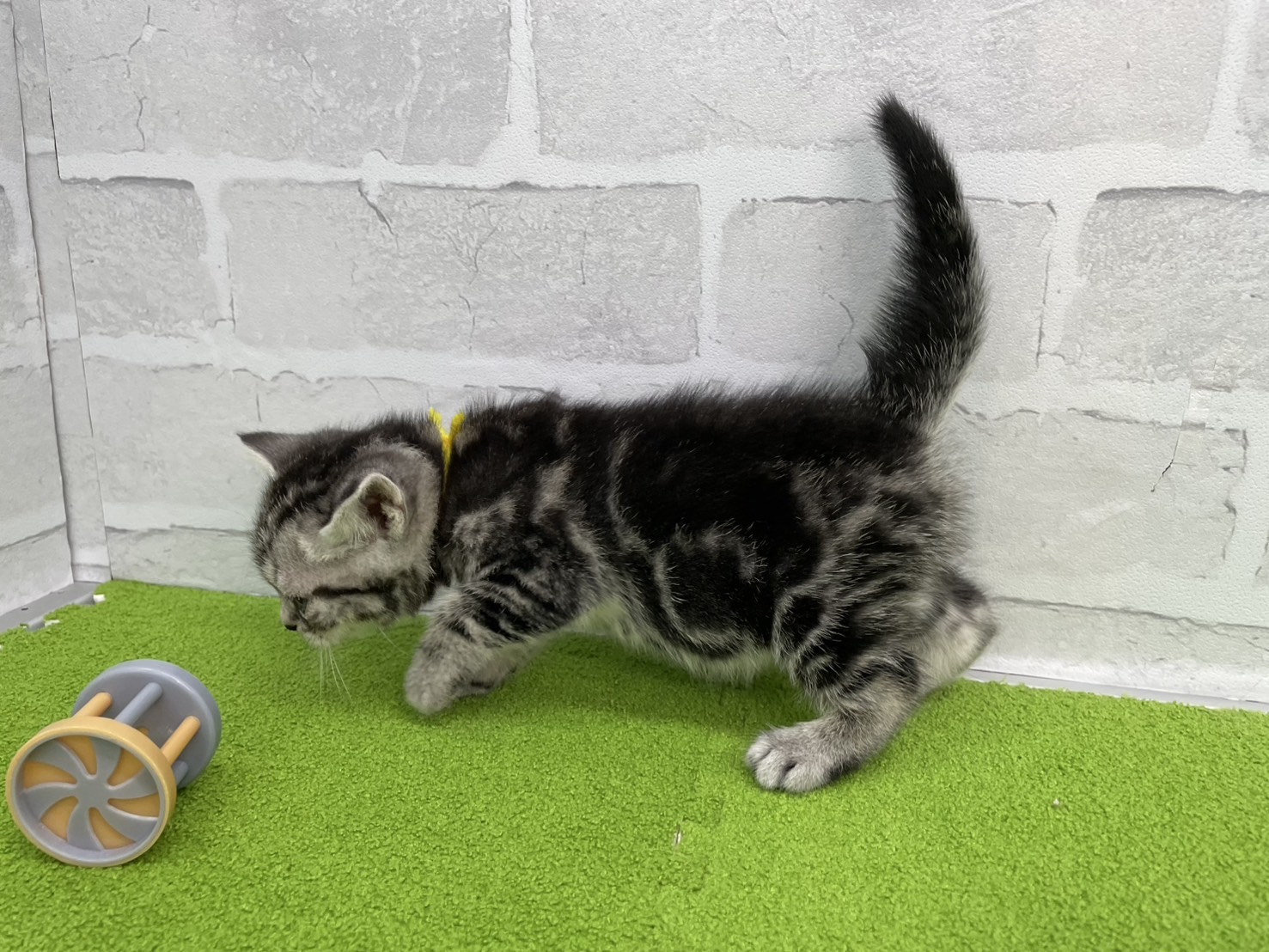 赤ちゃん写真2-2