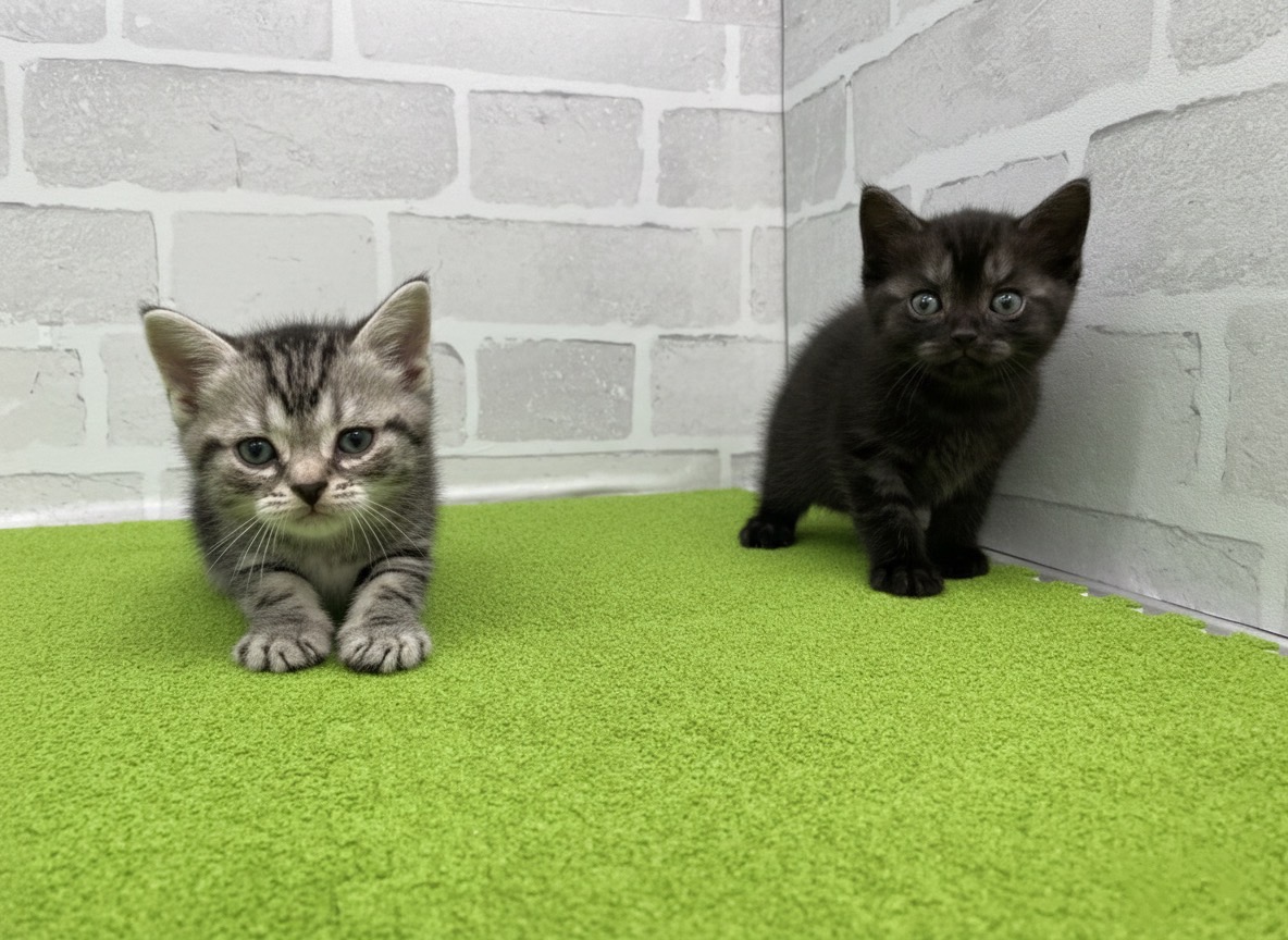 赤ちゃん写真2-3