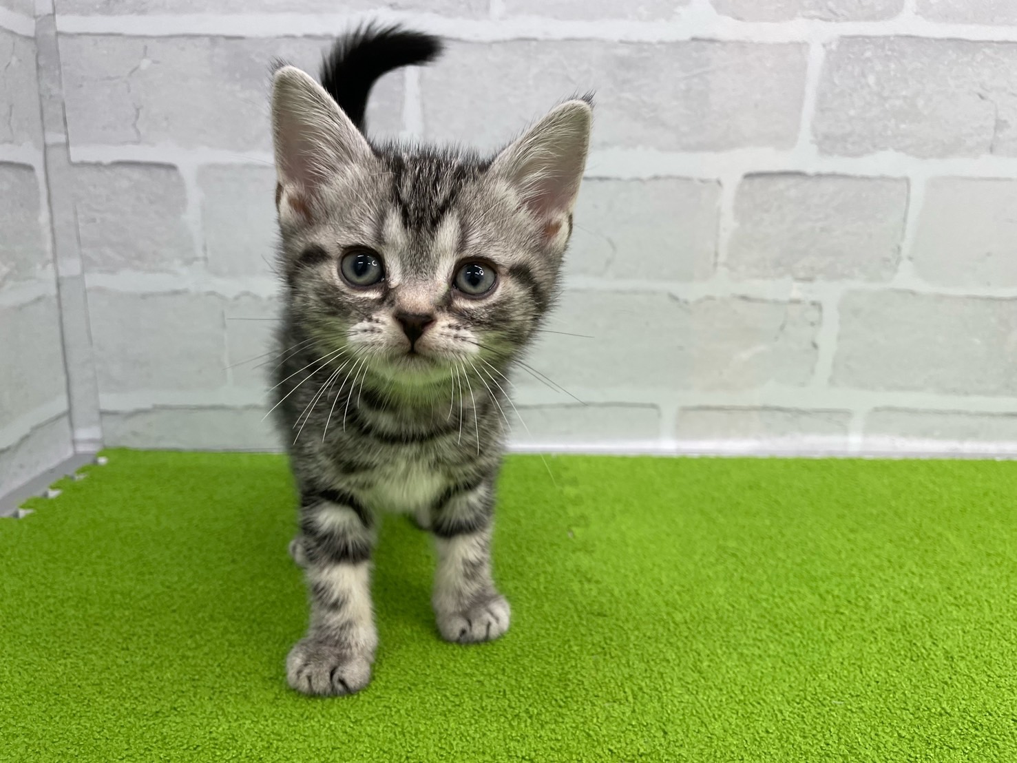 赤ちゃん写真3-1