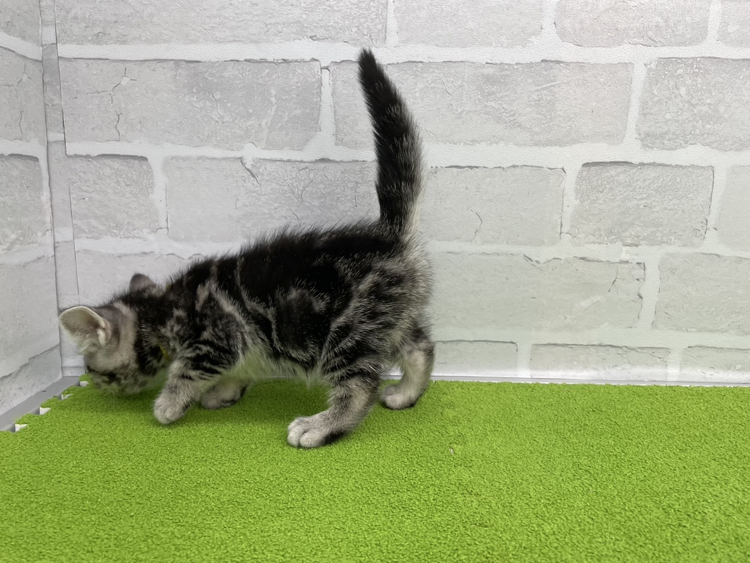 赤ちゃん写真3-2