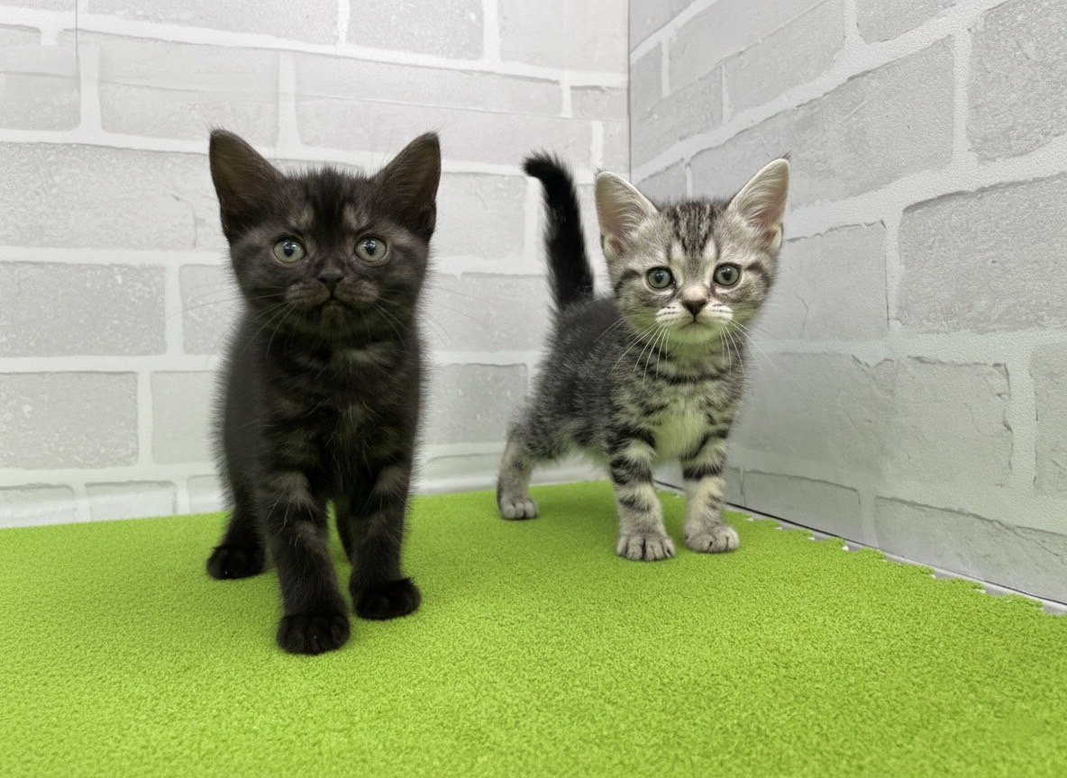 赤ちゃん写真3-3