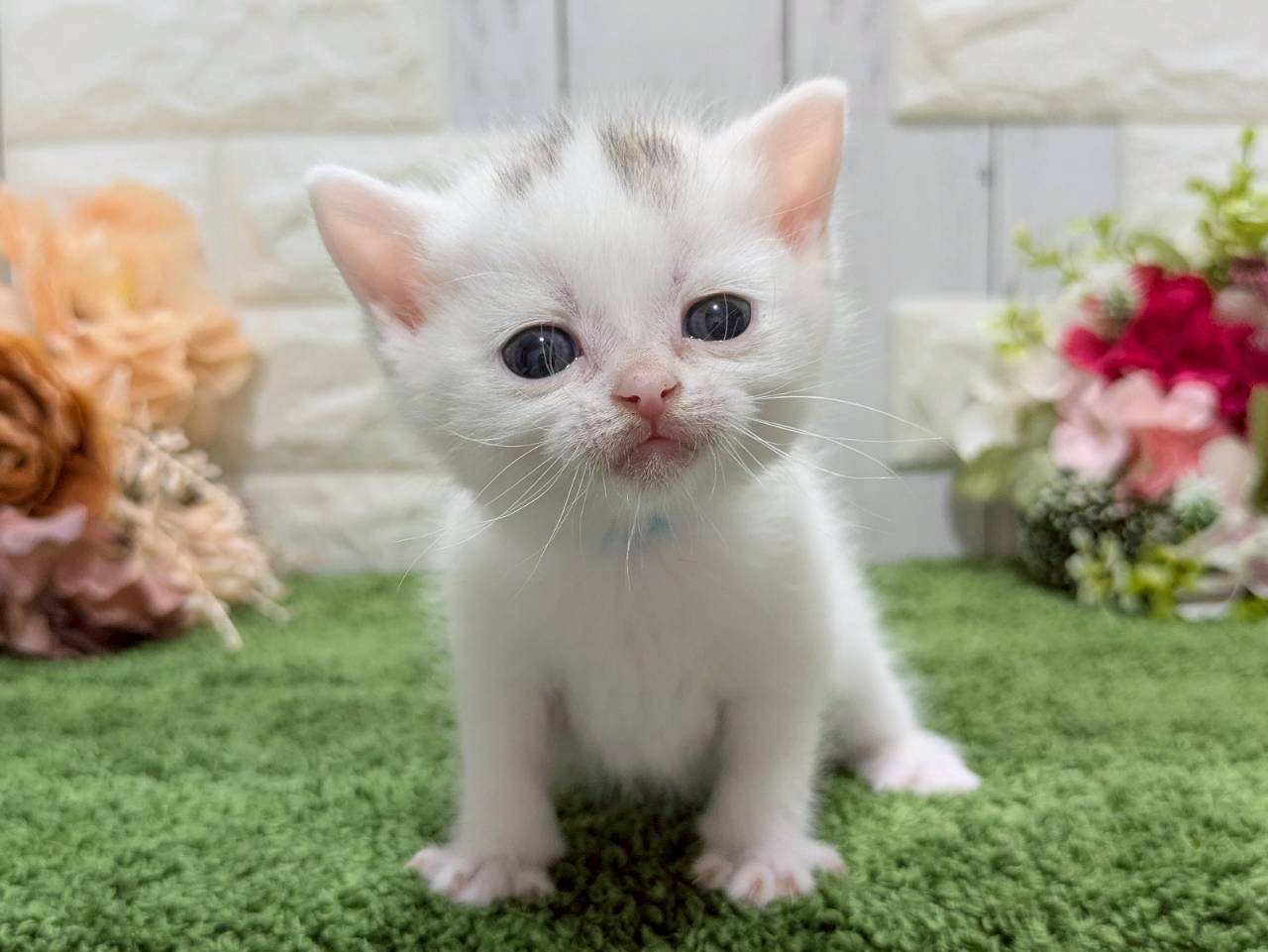 赤ちゃん写真2-1