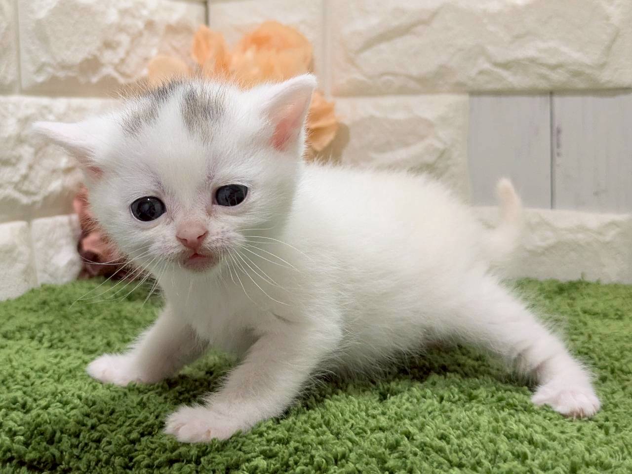 赤ちゃん写真2-2