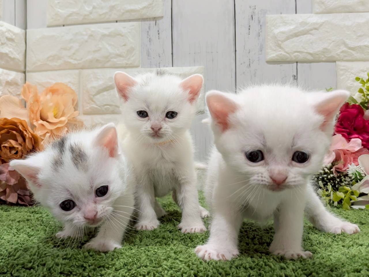 赤ちゃん写真2-3