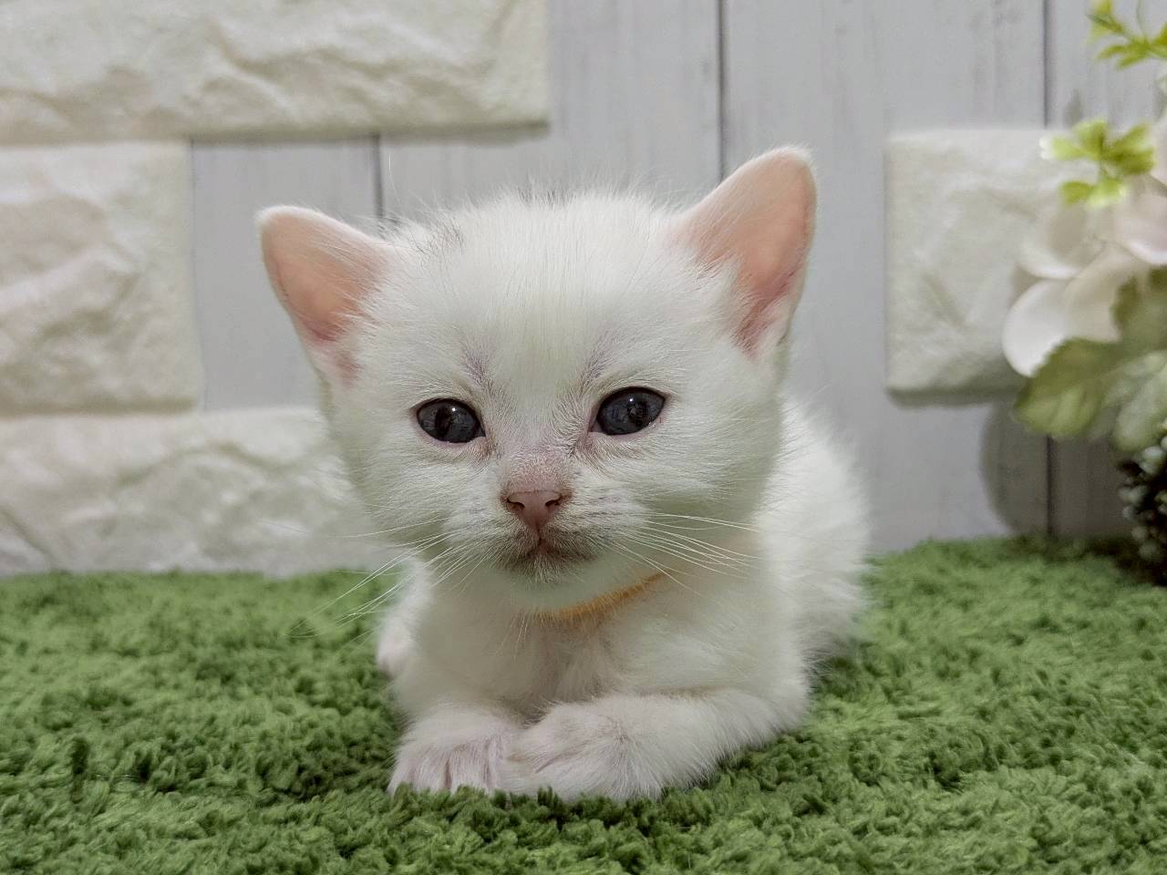 赤ちゃん写真2-1