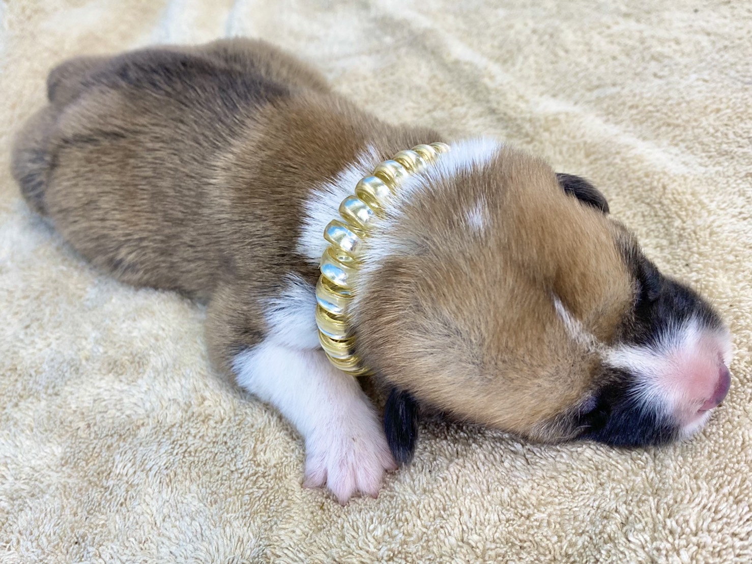 赤ちゃん写真1-2