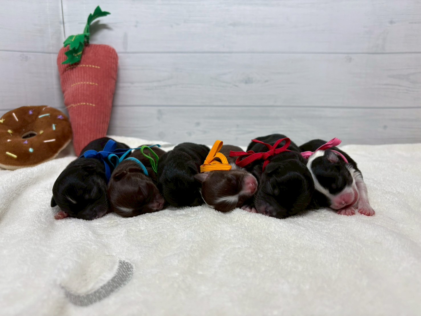 赤ちゃん写真1-3