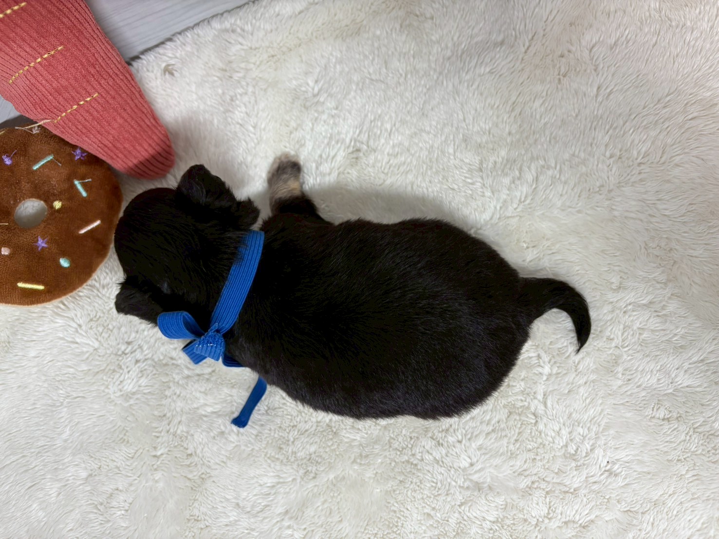 赤ちゃん写真2-3