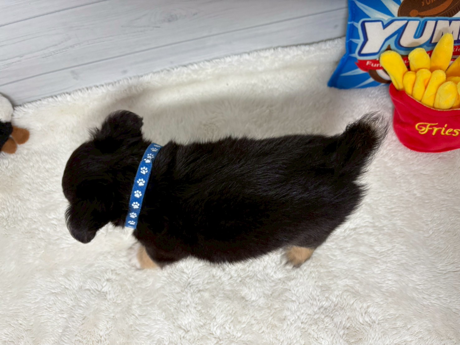 赤ちゃん写真3-3