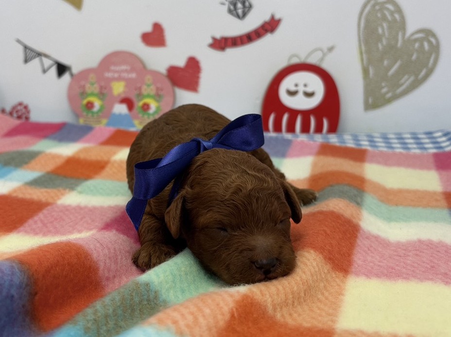 赤ちゃん写真1-1