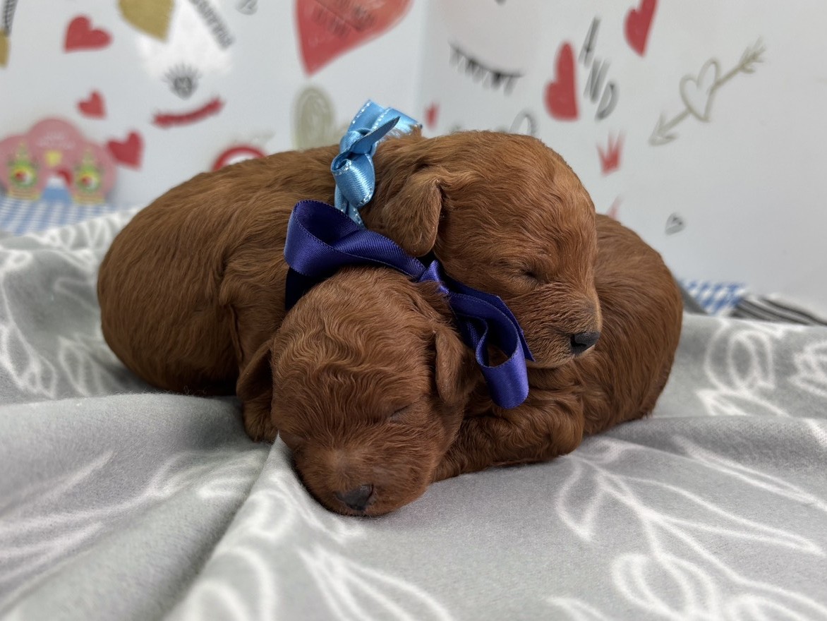 赤ちゃん写真1-3