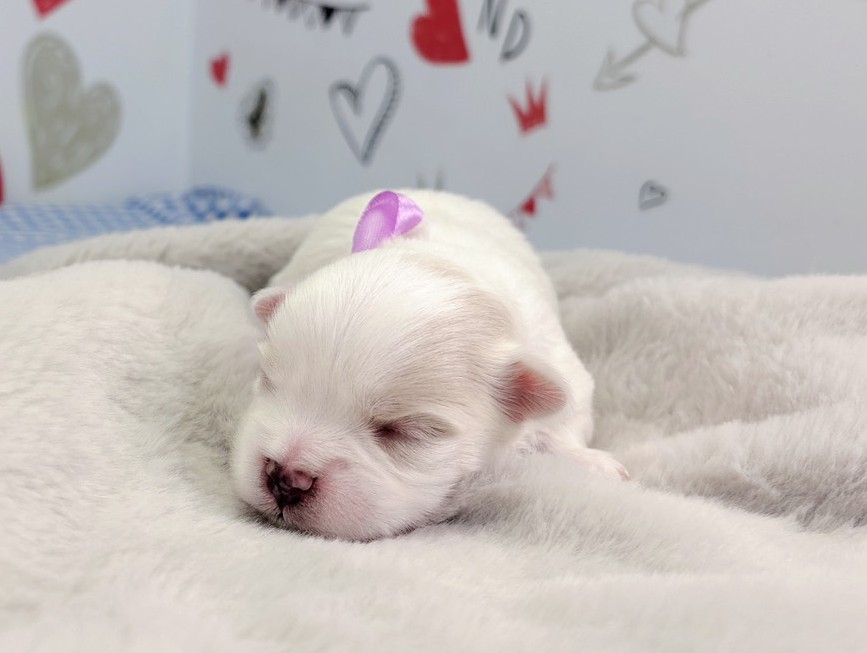 赤ちゃん写真1-1