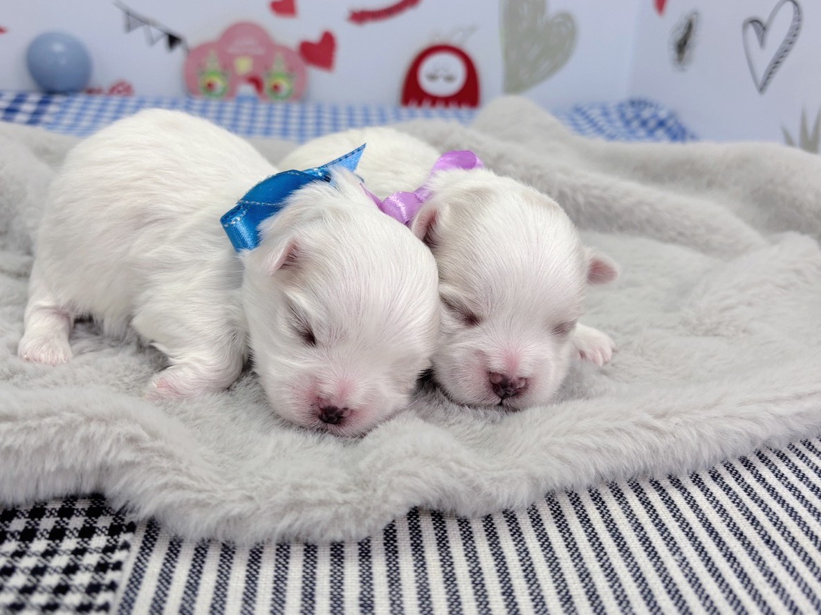 赤ちゃん写真1-3