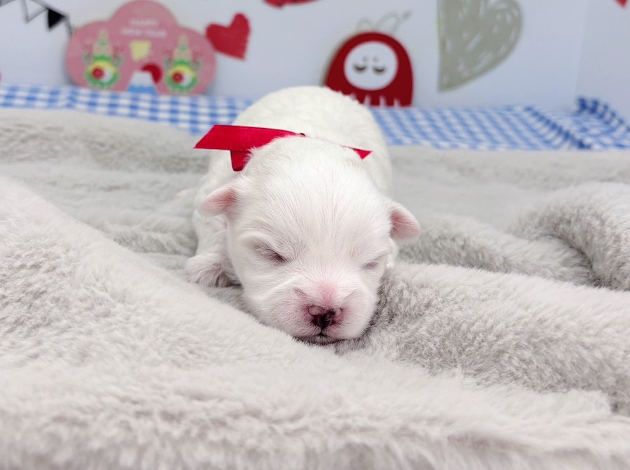 赤ちゃん写真1-1