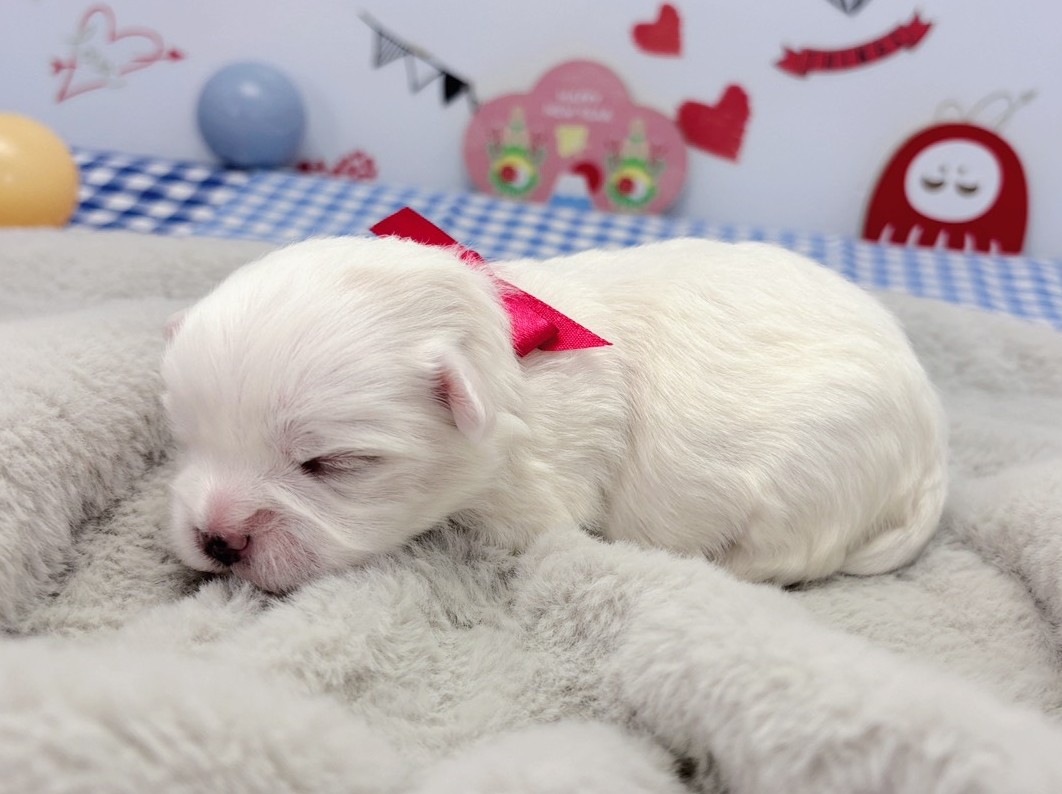 赤ちゃん写真1-2