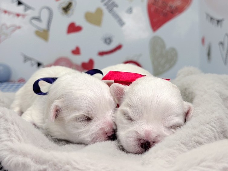 赤ちゃん写真1-3