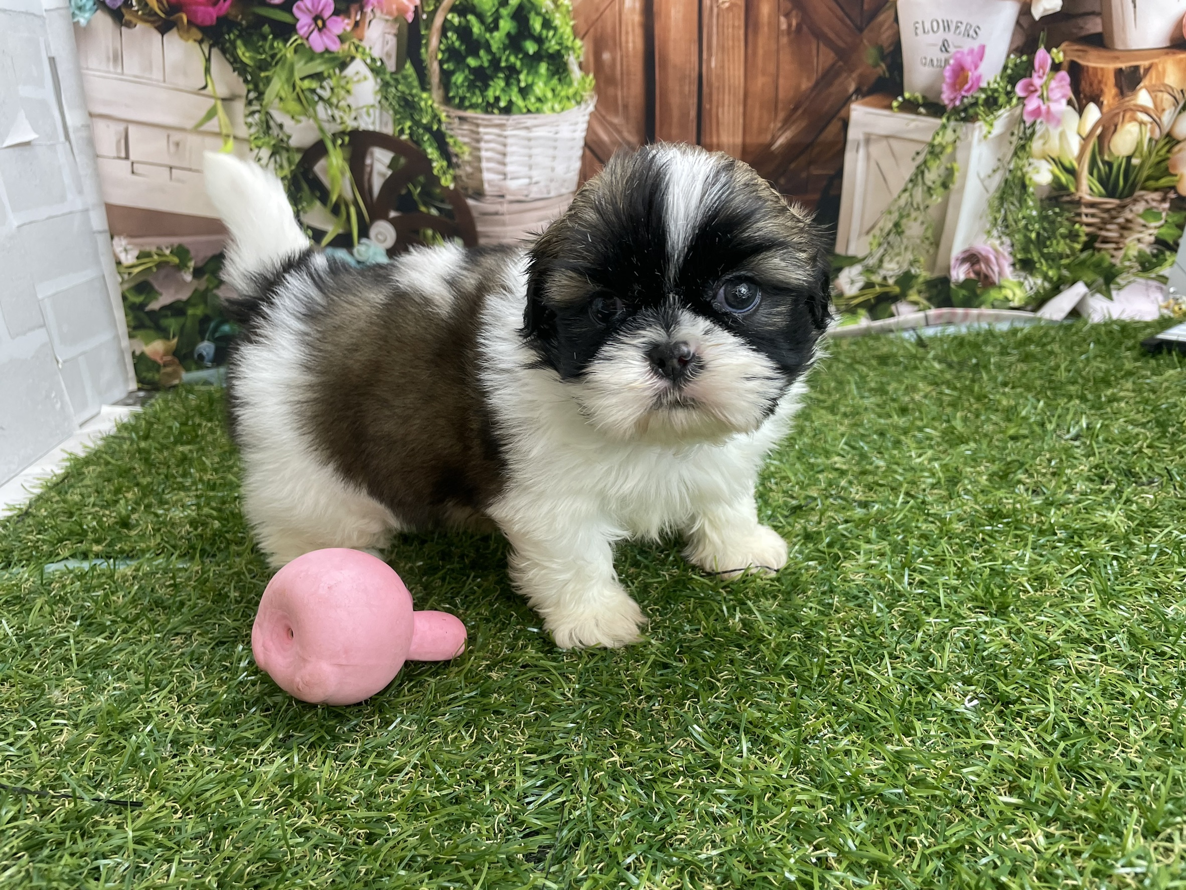 赤ちゃん写真2-1