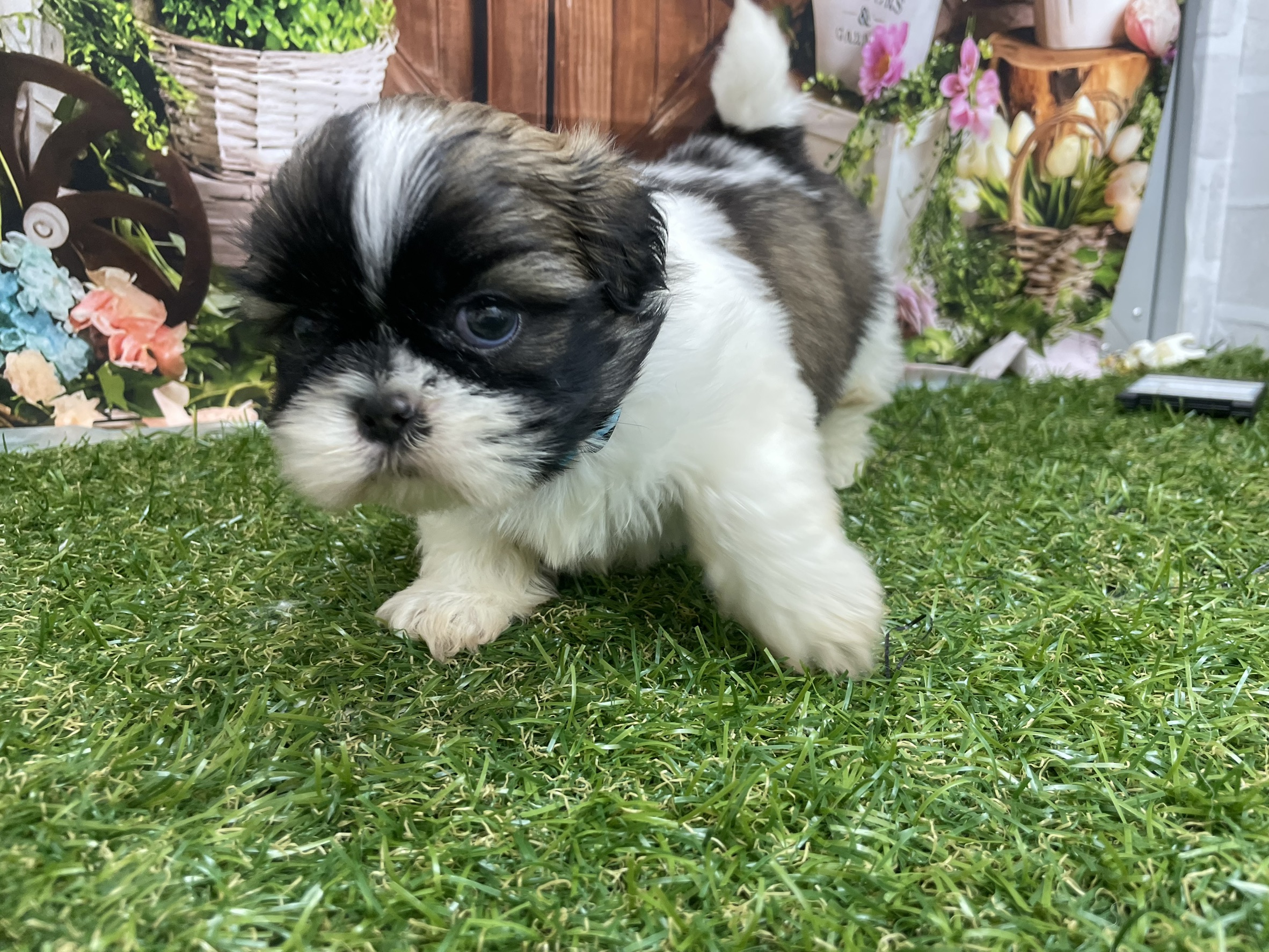 赤ちゃん写真2-2