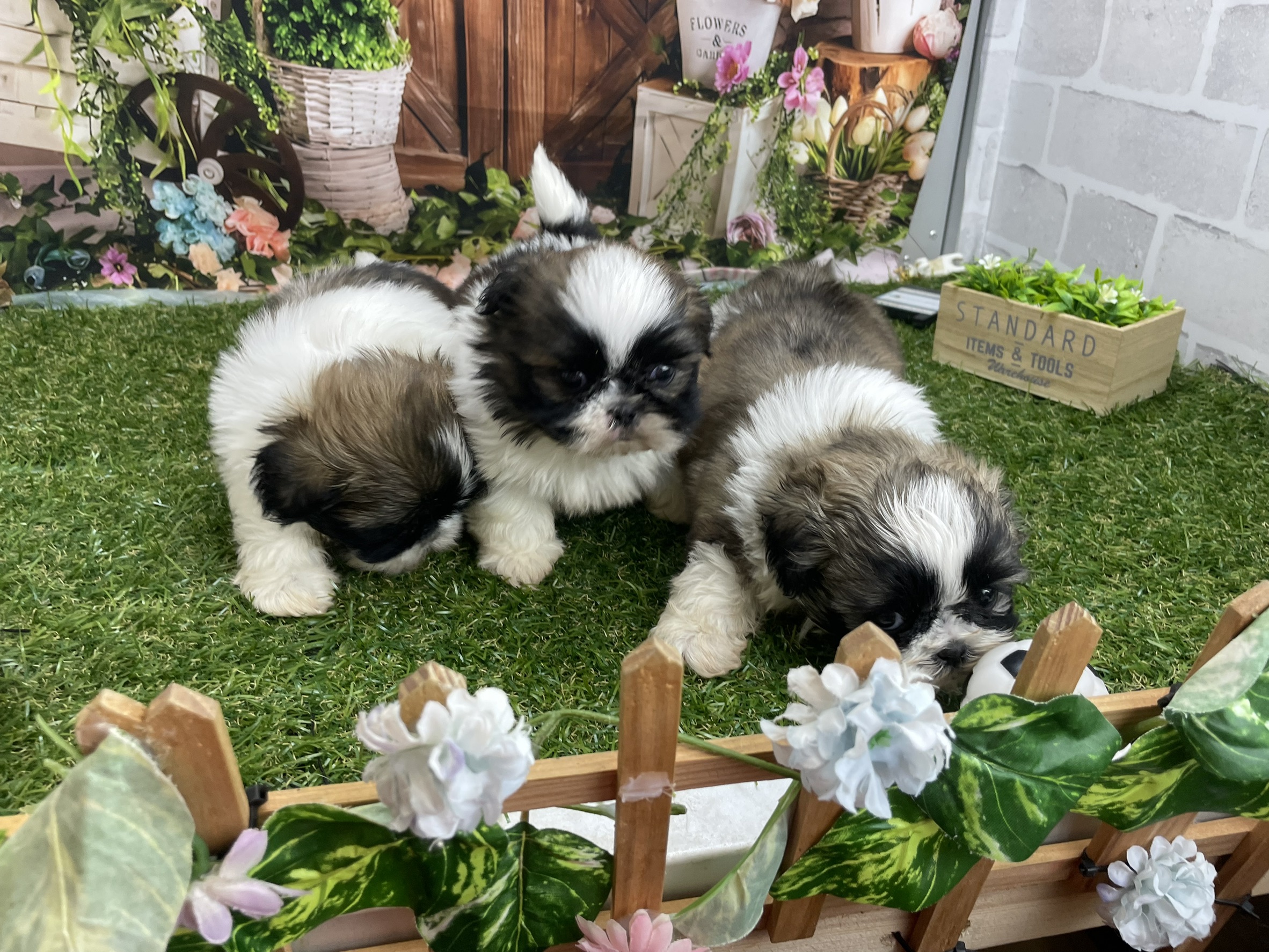 赤ちゃん写真2-3