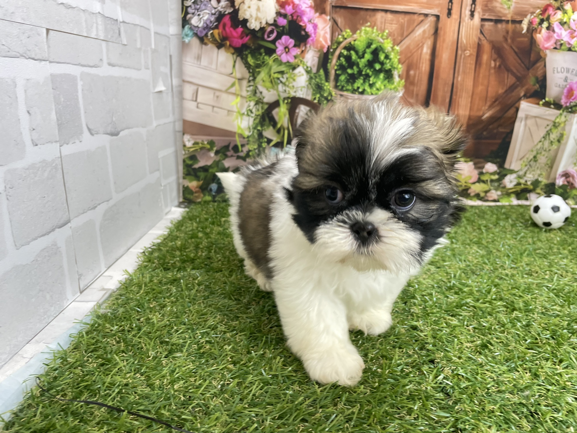 赤ちゃん写真3-2