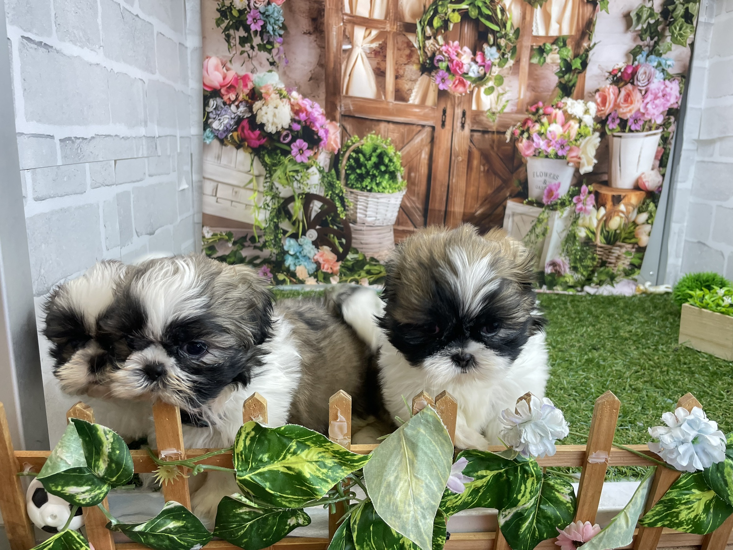 赤ちゃん写真3-3