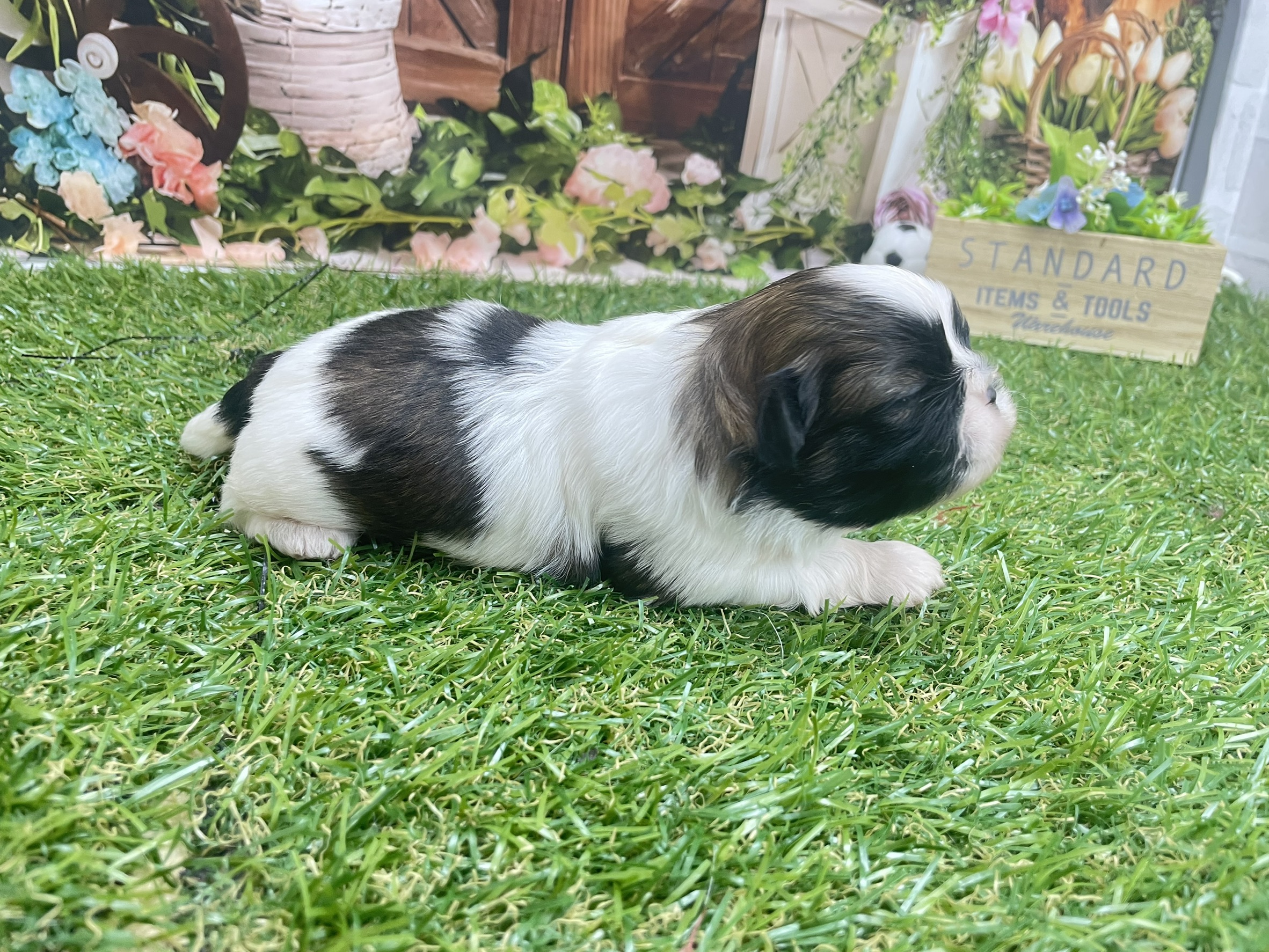 赤ちゃん写真1-2