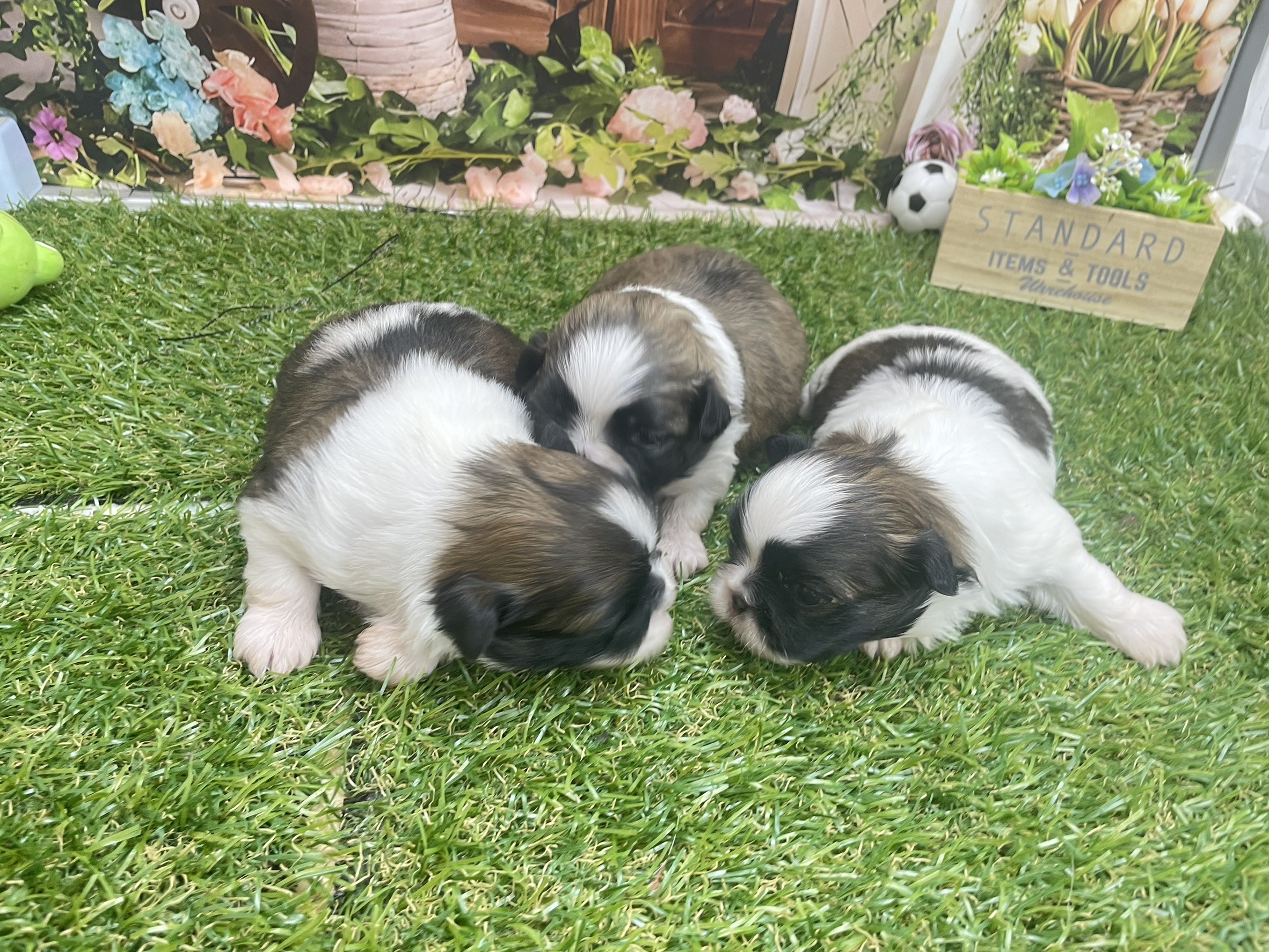 赤ちゃん写真1-3