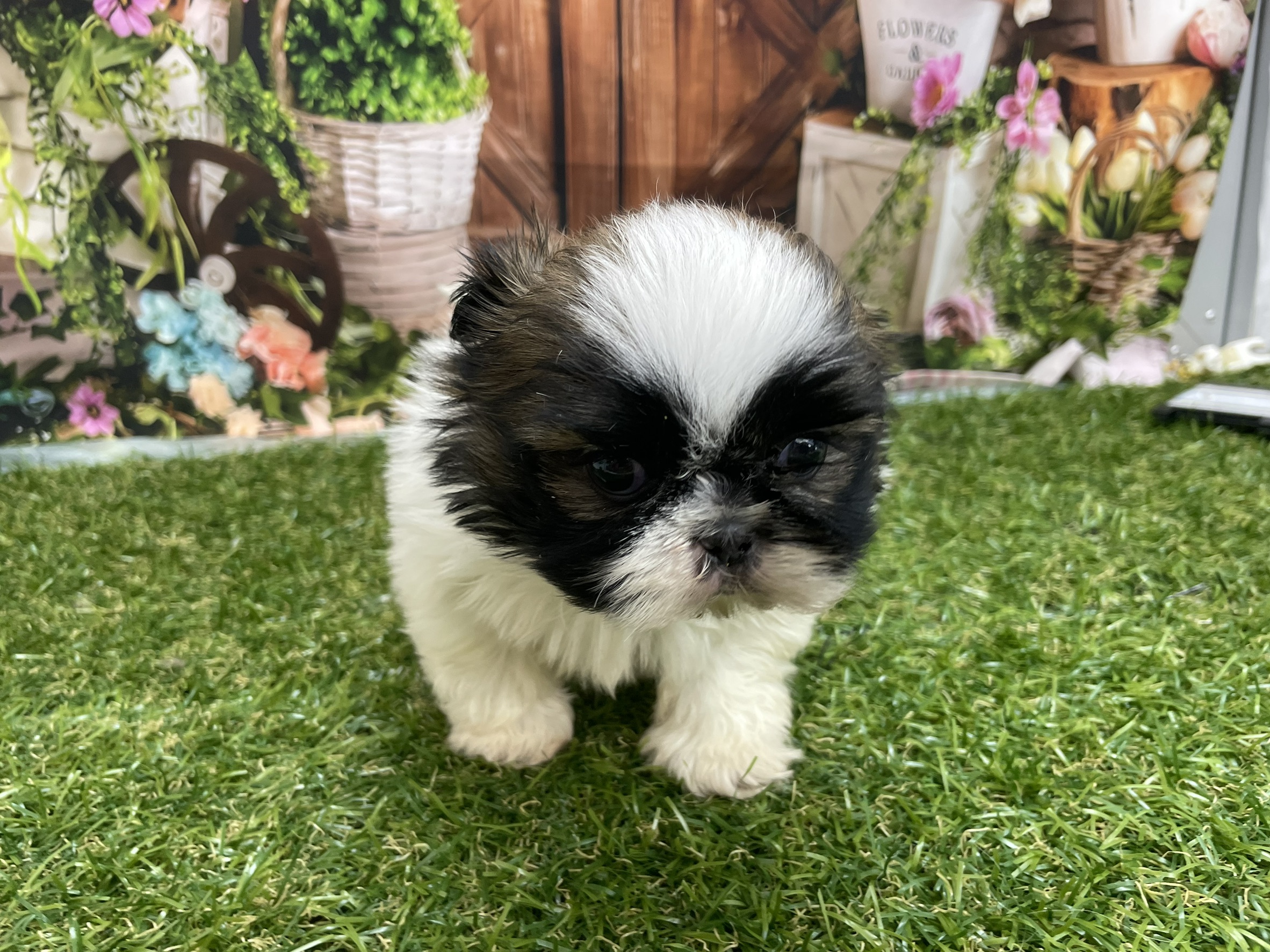 赤ちゃん写真2-1