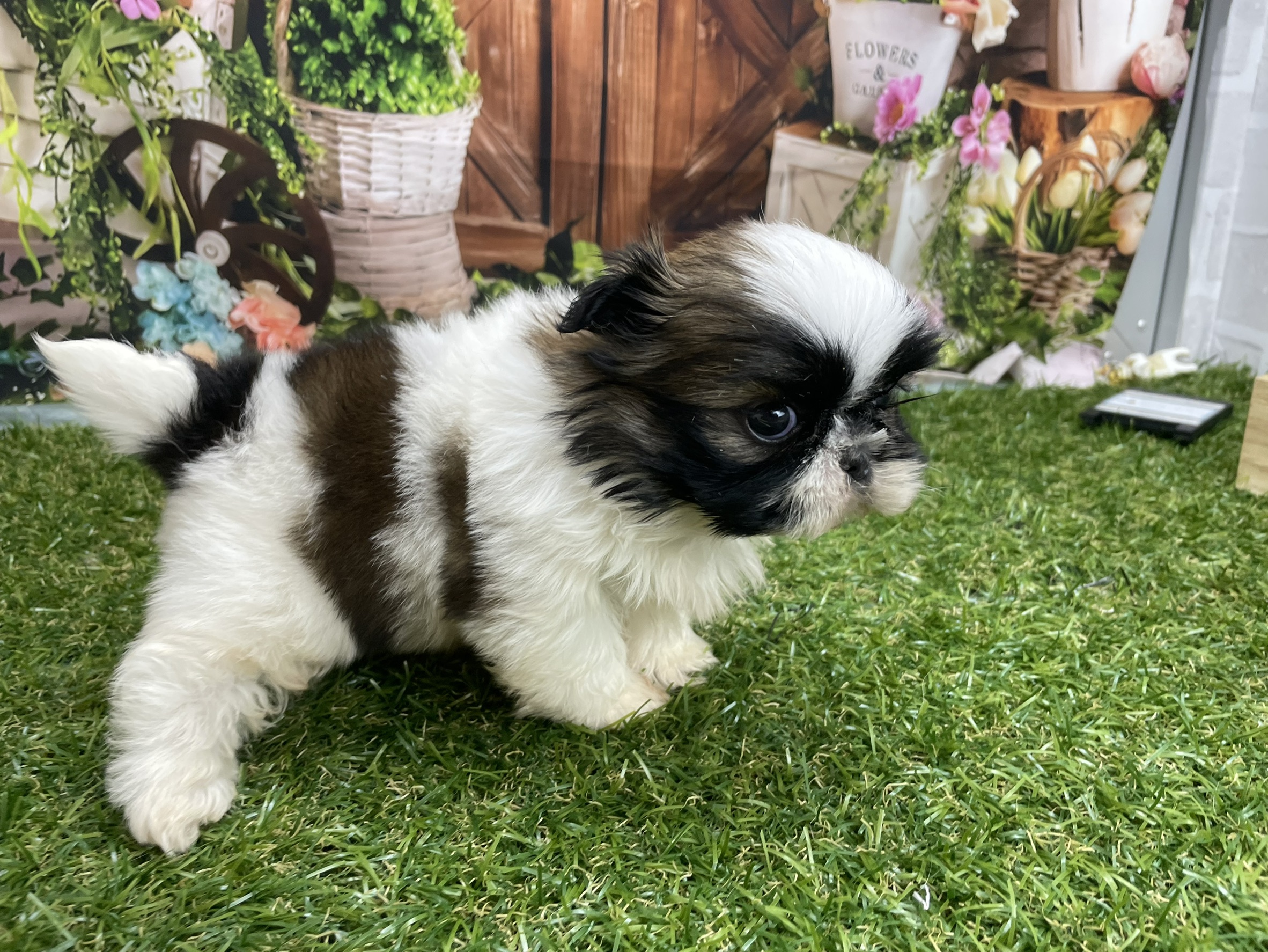 赤ちゃん写真2-2