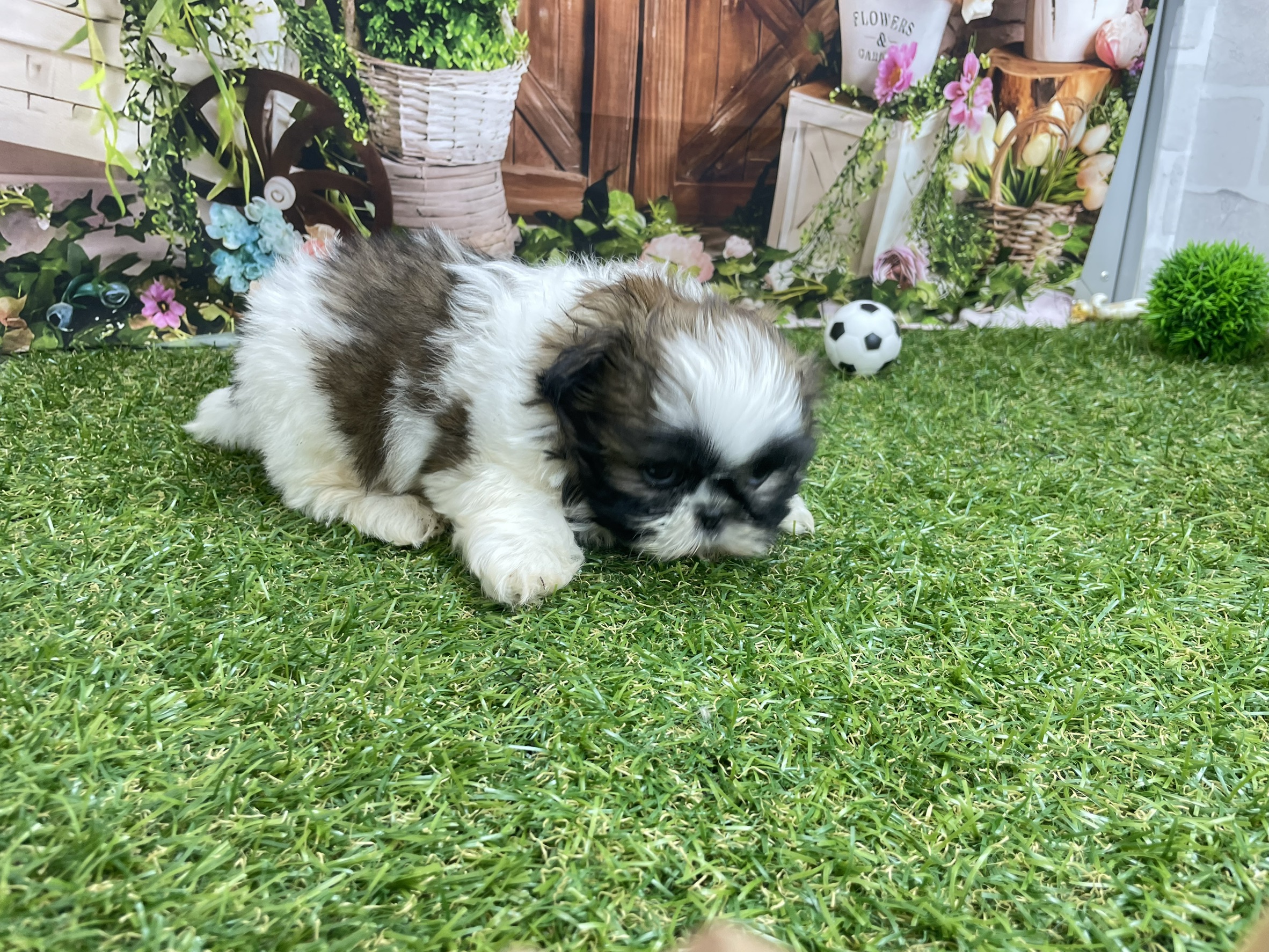 赤ちゃん写真3-2