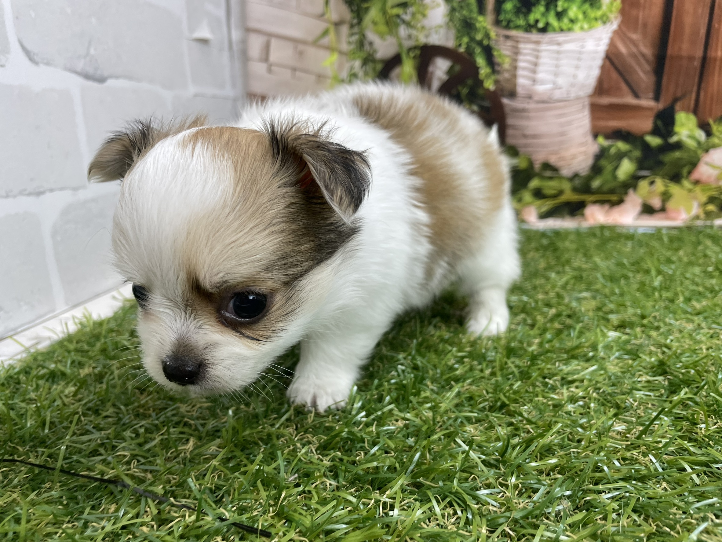 赤ちゃん写真2-2